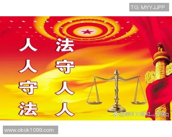 以人权保障为核心推进社会公平正义建设探索与实践