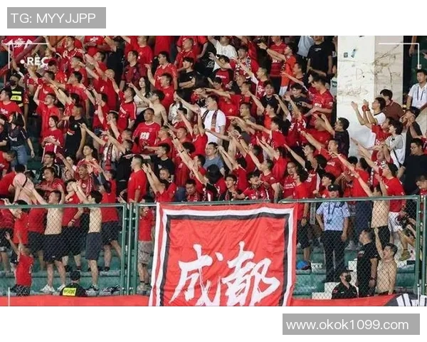 成都排球队速度之争引发热议球迷观点各异分析背后的战术与技术因素