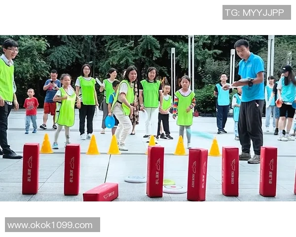 杭州飞盘队在极限运动嘉年华中的意识表现分析与点评