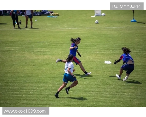 飞盘实力排行榜揭晓广州飞盘队荣获第三名展现强大实力