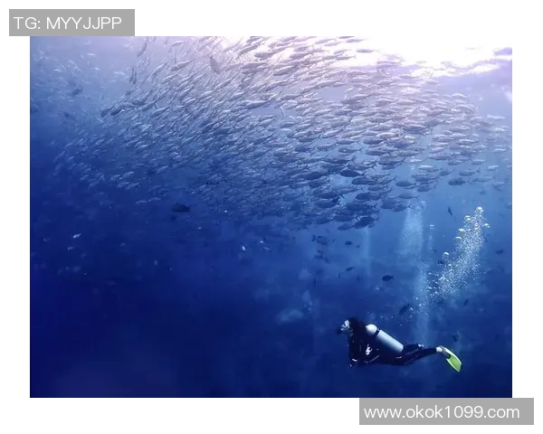 时尚与功能并存 潜水泳装如何提升水下运动体验与舒适度