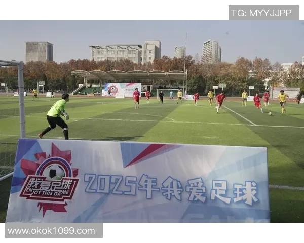 南京足球队比赛经验的创新与变革引发热议探讨