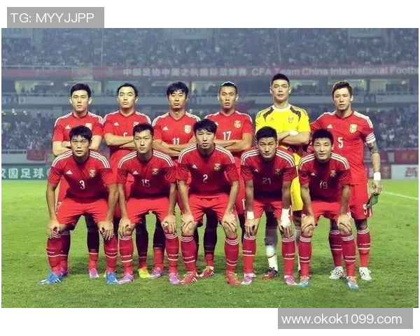中国足球明星名单及其成就解析，盘点历史与现役球员的辉煌瞬间