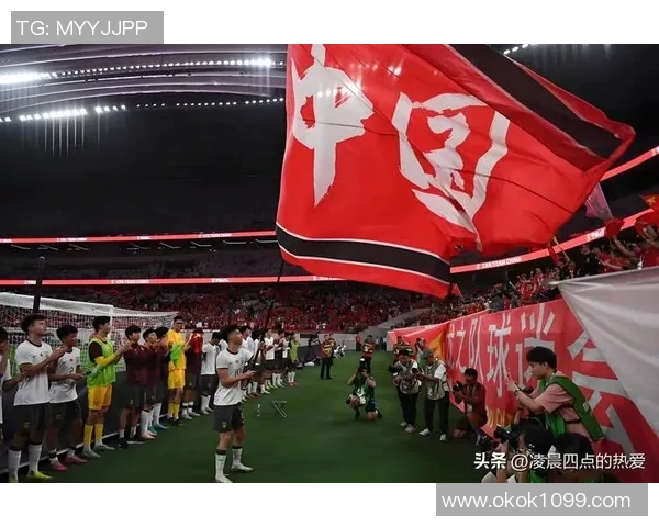 中国足球明星联赛总决赛精彩回顾与未来展望：球迷热情与赛事魅力交融